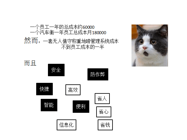 汽車衡人工成本VS無人值守稱重系統(tǒng)成本(圖3)